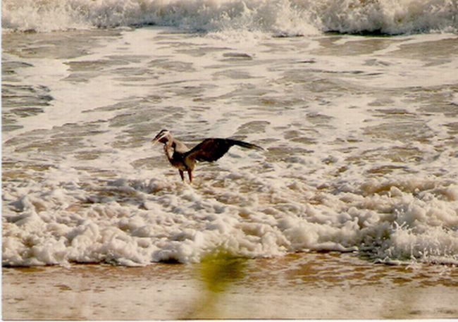At the beach