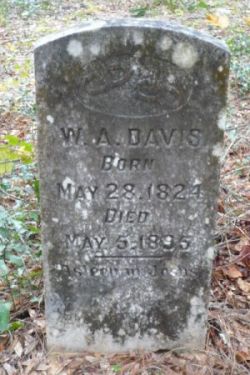 W A Davis