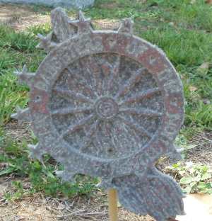 DAR -Agnes Tyre