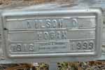 Wilson Hogan FTM