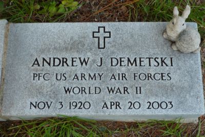Andrew J Demetski
