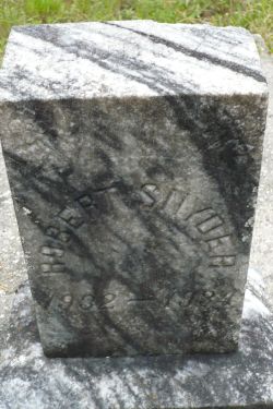 Robert Snyder