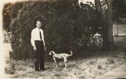 Mr Mac and Domino