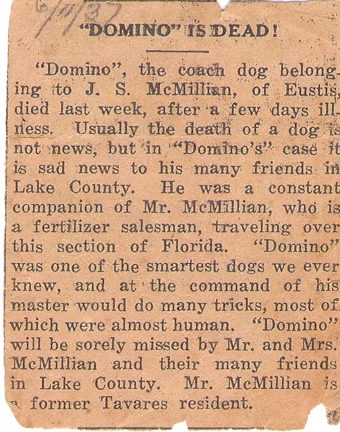 Domino Obit