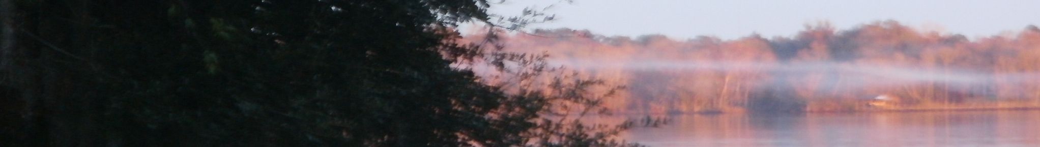 river haze