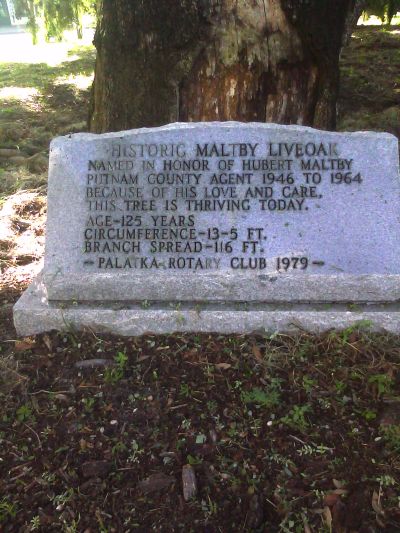 Maltby Oak plaque